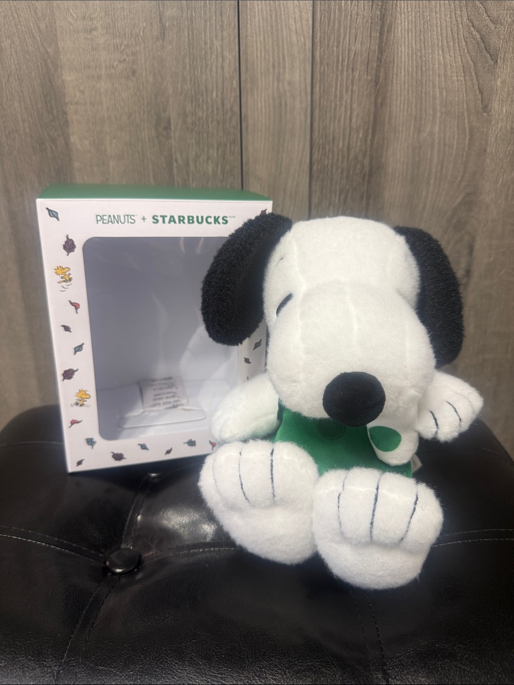 New Peanuts + Starbucks Plush Snoopy Beagle Dog In Green Apron In Original Box